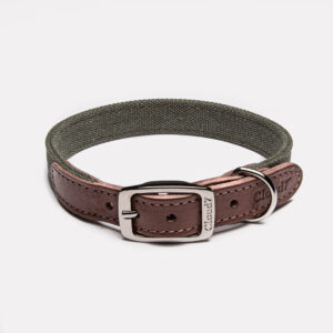 CLOUD7 Halsband Tivoli Olive