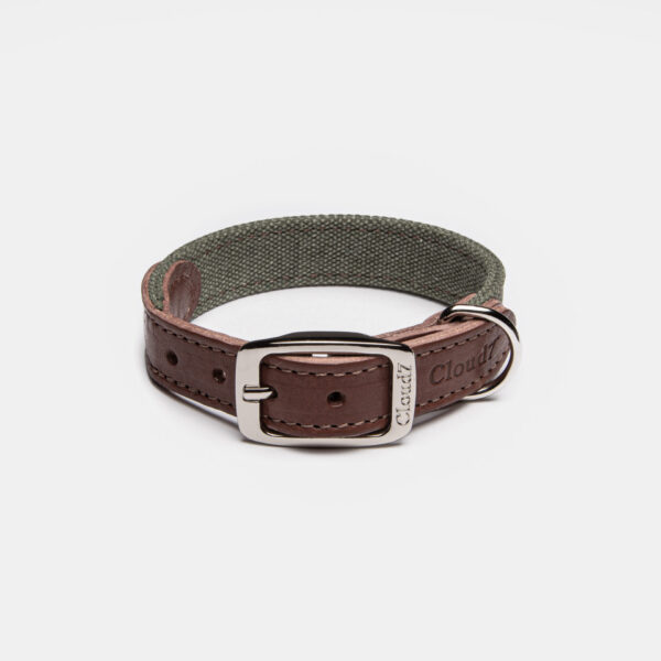 CLOUD7 Halsband Tivoli Olive – Bild 5