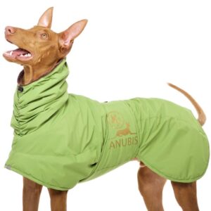 Sofa Dog Wear Hundemantel Anubis Grün