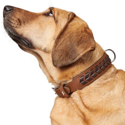 Hunter Halsband El Paso cognac/schwarz – Bild 3