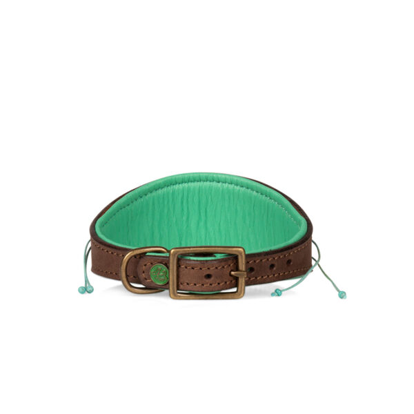 DWAM Windhundhalsband PeddyLee – Bild 3