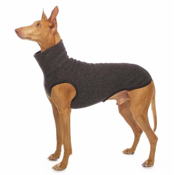 SOFA Dog Wear Hundepullover Hachico JUMPER Anthrazit