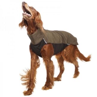 Sofa dog wear Hundepullover Hachico RR