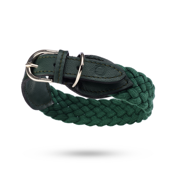 MALUCCHI Halsband Braid Trekker Grün