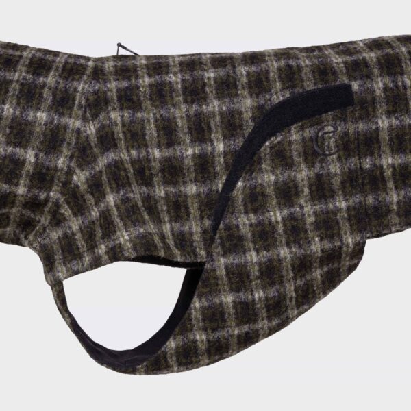CLOUD7 Hunderegenmantel Glasgow Plaid Green – Bild 2