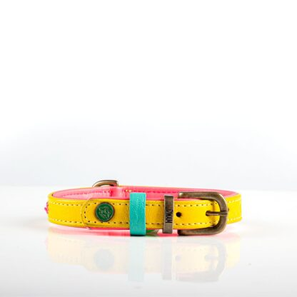 DWAM Halsband Jessy XXS – Bild 8