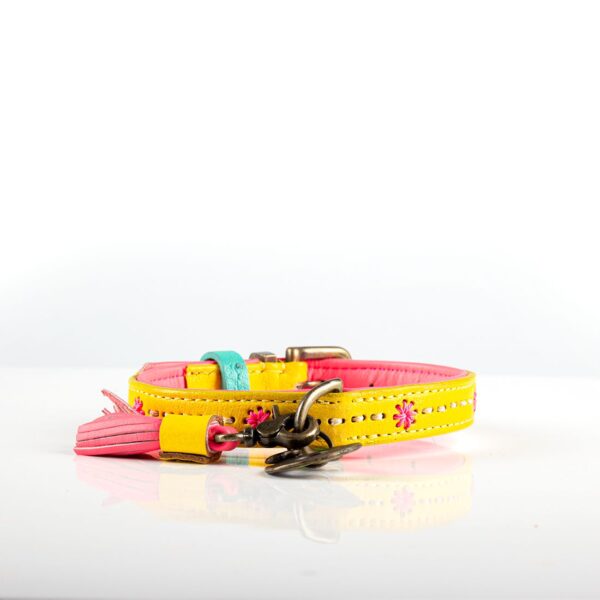DWAM Halsband Jessy XXS – Bild 7