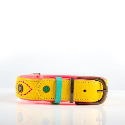 DWAM Halsband Jessy XXS – Bild 6