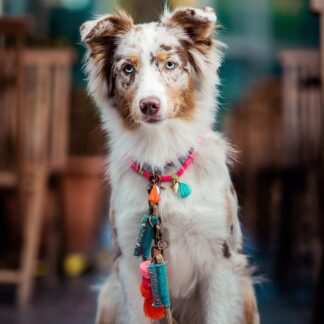 DWAM Bondi Beach Hundekette Pink
