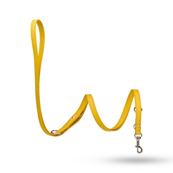 MALUCCHI Hundeleine Movie Gelb