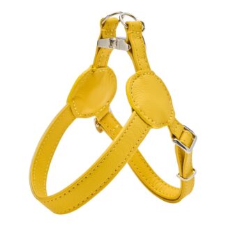 Malucchi Halsband Movie Gelb