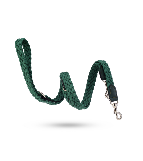 MALUCCHI Hundeleine Braid Trekker Grün