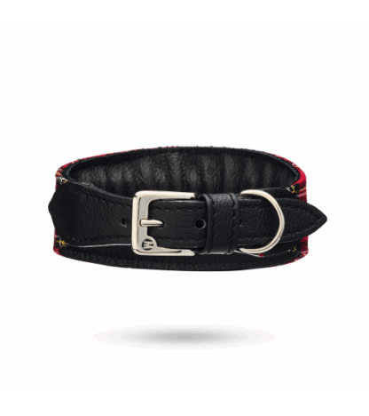 MALUCCHI Windhund Halsband Tartan – Bild 2