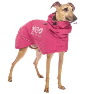 Sofa Dog Wear Hundemantel Manuel Minisnow