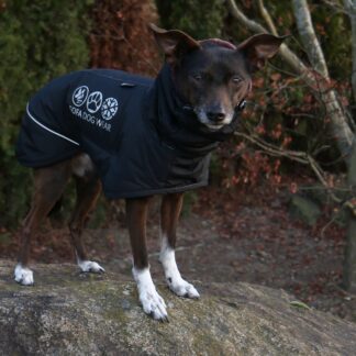 Sofa Dog Wear Hundemantel Manuel Minisnow