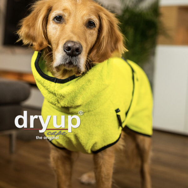 Actionfactory Hundebademantel Lemon