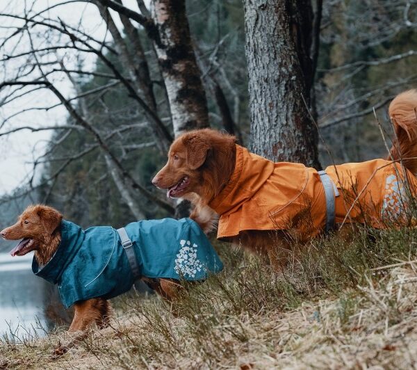 Hurtta Regenmantel Monsoon Grau