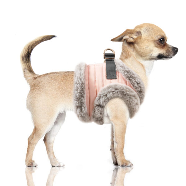 Milk & Pepper Harness Zora – Bild 3