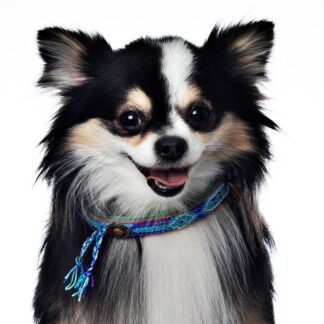 DWAM Halsband Blue