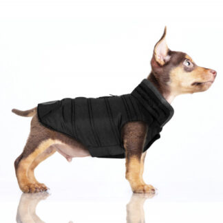MILK&PEPPER Hundewendemantel EDWIN