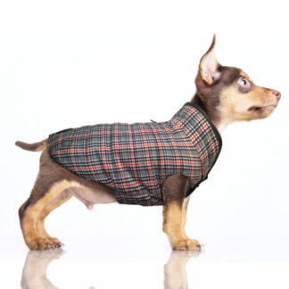 MILK&PEPPER Hundewendemantel EDWIN