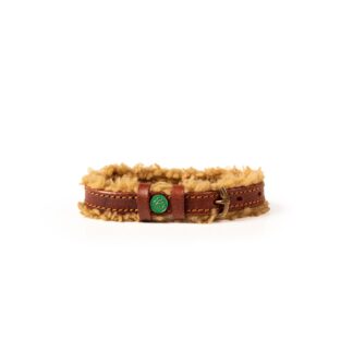 DWAM Halsband Teddy