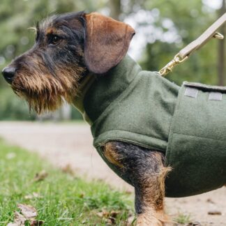 CLOUD7 Hundemantel Brooklyn Dackel Flanell Fern Green VJ