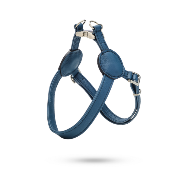 MALUCCHI Geschirr Movie Blau