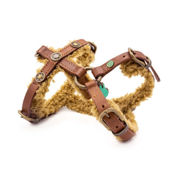 DWAM Hundegeschirr Teddy