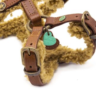 DWAM Hundegeschirr Teddy