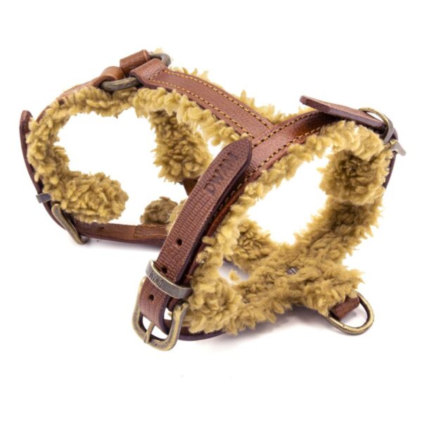 DWAM Hundegeschirr Teddy – Bild 3
