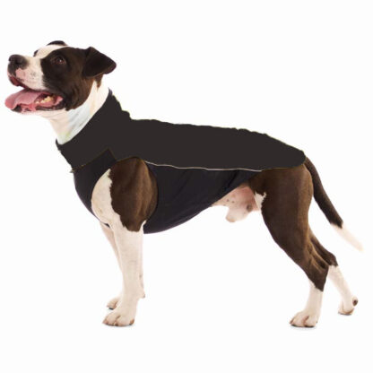 Sofa dog wear Hachico Bull Magenta