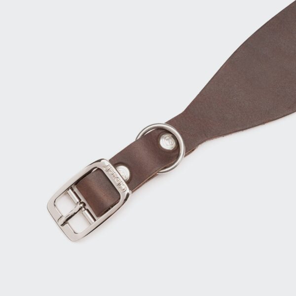 CLOUD7 Windhund Halsband Regent Park Braun – Bild 4