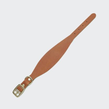 CLOUD7 Windhund Halsband Regent Park Camel Gold – Bild 2