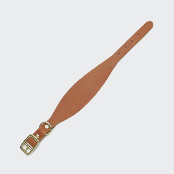CLOUD7 Windhund Halsband Regent Park Camel Gold – Bild 2