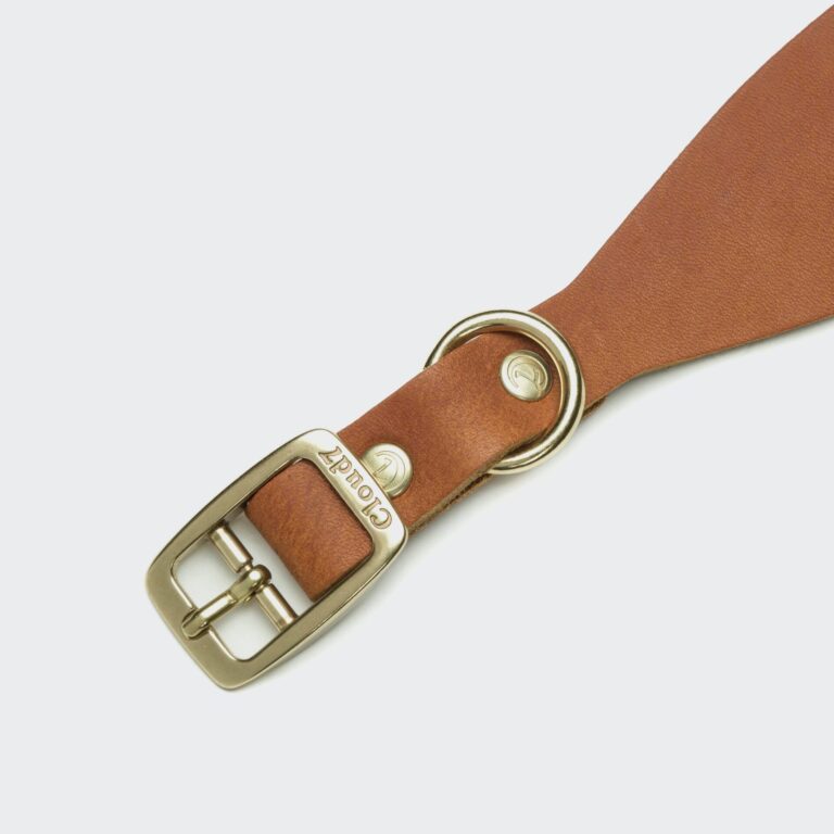CLOUD7 Windhund Halsband Regent Park Camel Gold  Eleganz - hundewerk