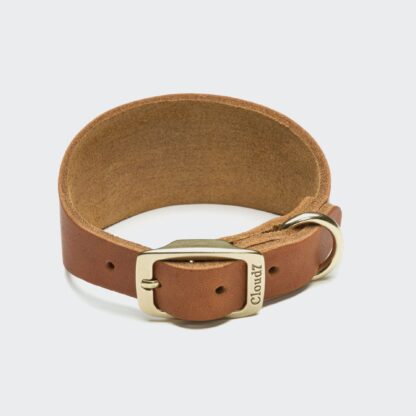 CLOUD7 Windhund Halsband Regent Park Camel Gold