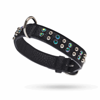 MALUCCHI Halsband Bright Schwarz 3 cm