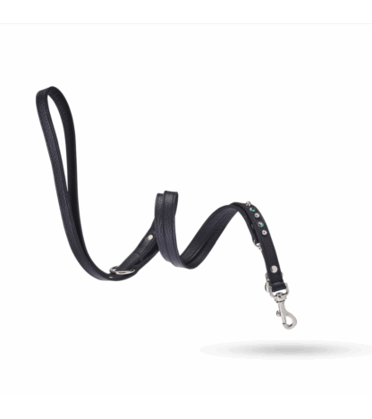 MALUCCHI Halsband Bright Schwarz 3 cm – Bild 3