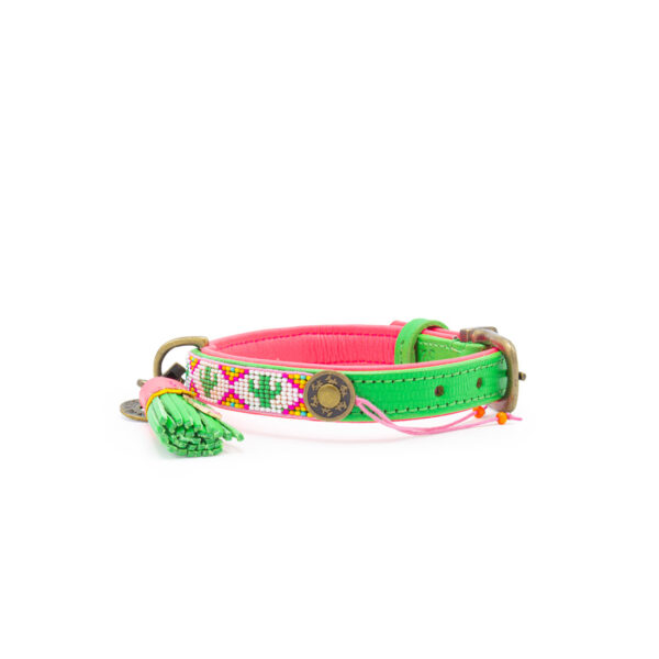 DWAM Halsband Tropical Summer – Bild 3