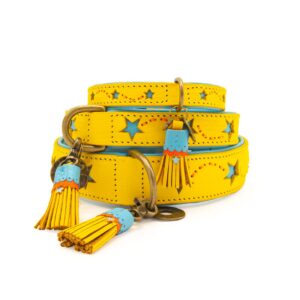 DWAM Halsband Urban Blue Star