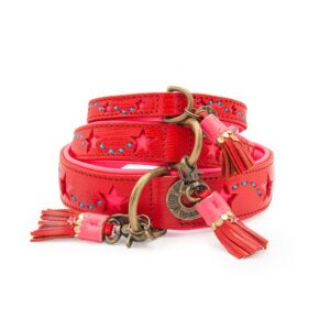 DWAM Halsband Urban Pink Star