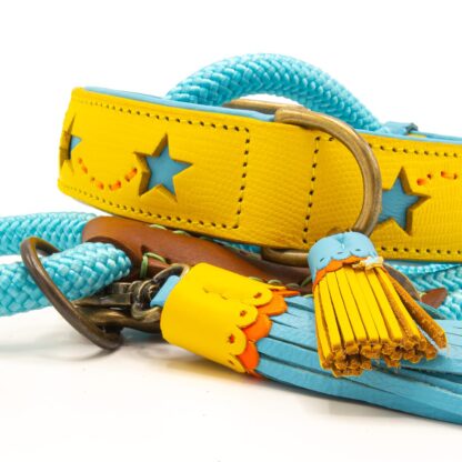 DWAM Halsband Urban Blue Star – Bild 3