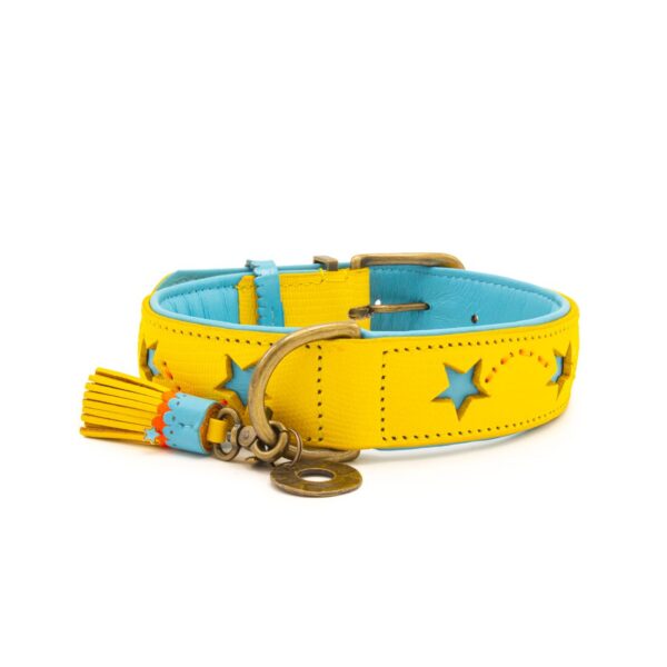 DWAM Halsband Urban Blue Star – Bild 4