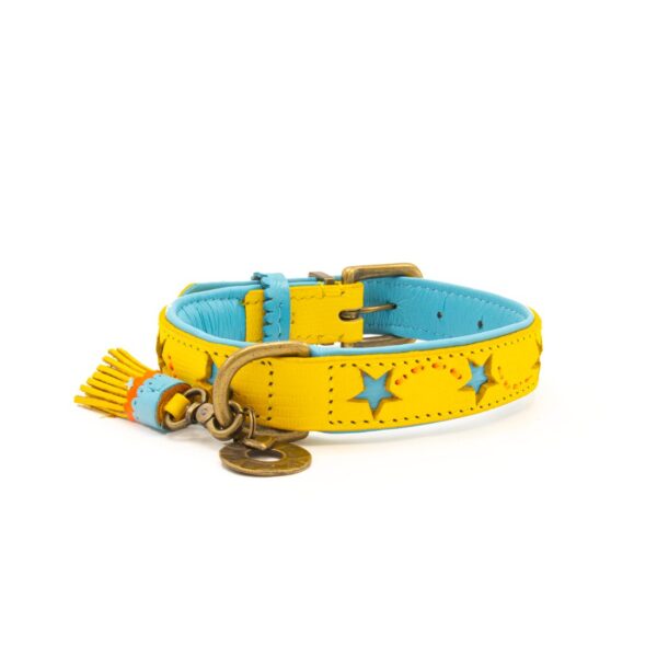 DWAM Halsband Urban Blue Star – Bild 5