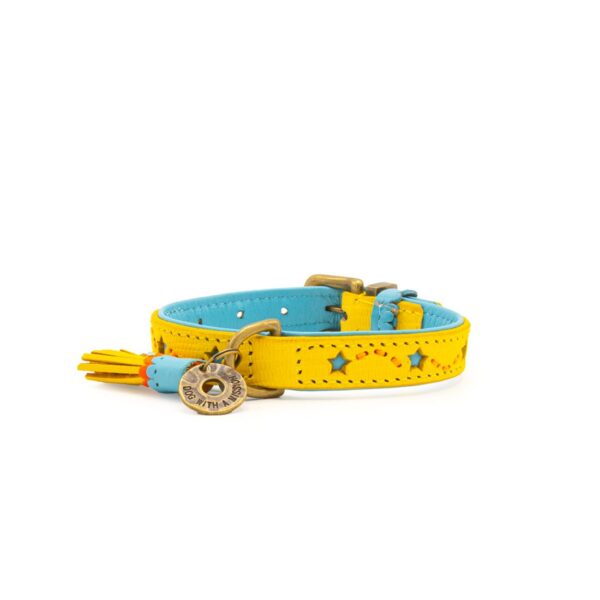 DWAM Halsband Urban Blue Star – Bild 6