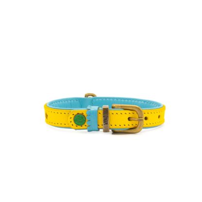 DWAM Halsband Urban Blue Star – Bild 7