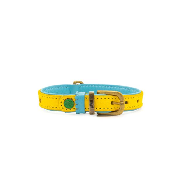 DWAM Halsband Urban Blue Star – Bild 7