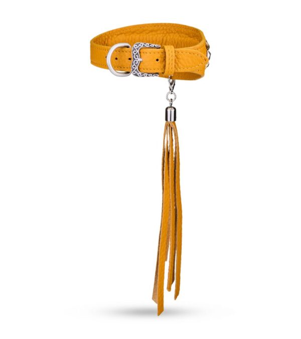 MALUCCHI Windhund Halsband Bright Sahara – Bild 2