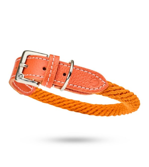 MALUCCHI Halsband Trekker Orange